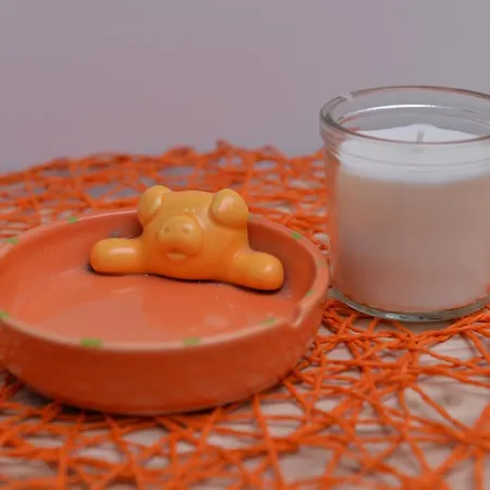 Apartments Inn Smederevska Palanka * Smederevska Palanka