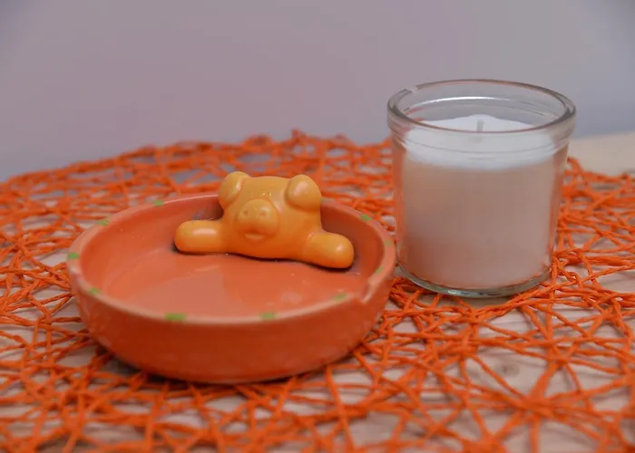 Apartments Inn Smederevska Palanka * Smederevska Palanka